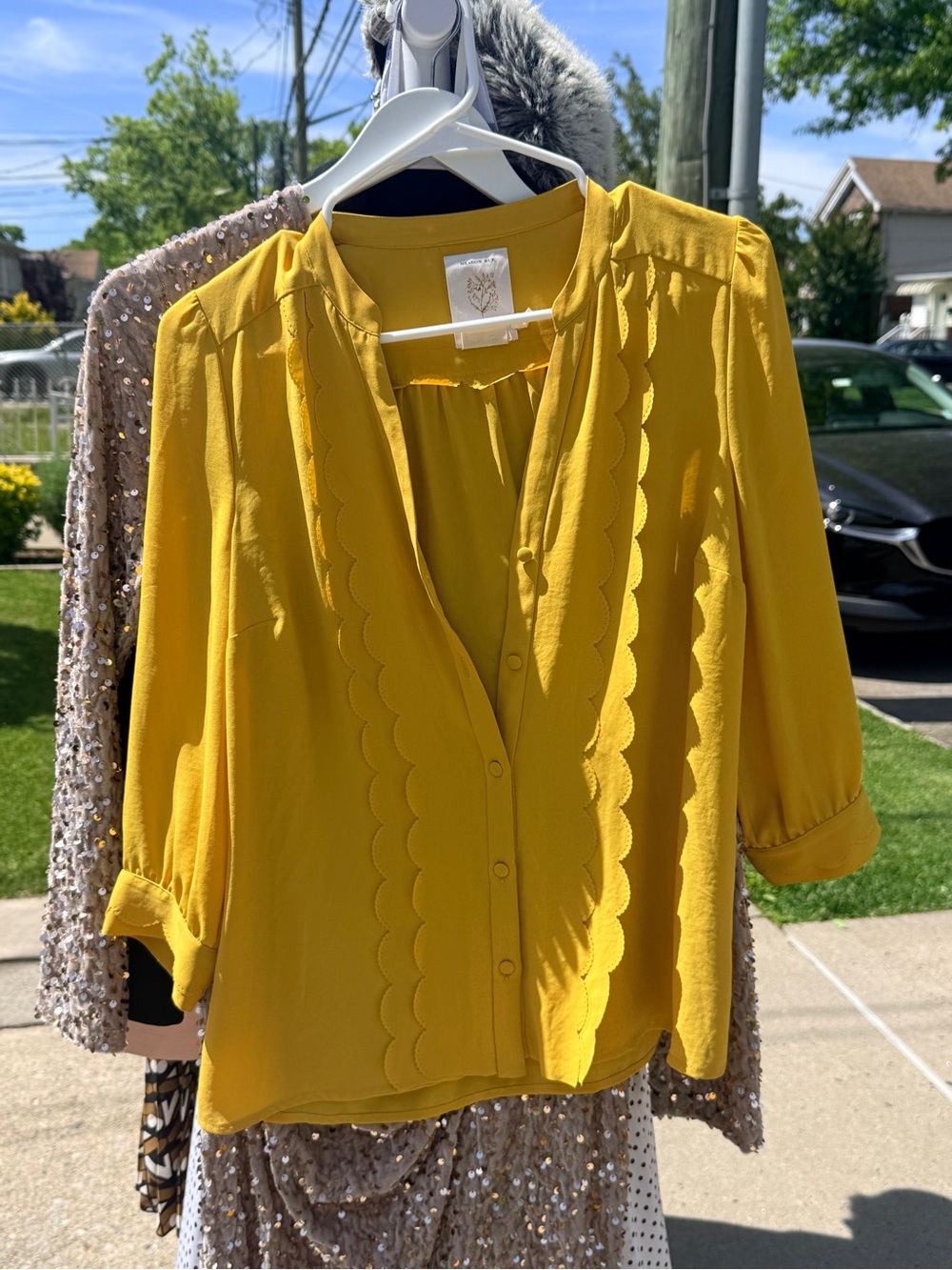 Women's Mustard Scallop Button-Front Blouse